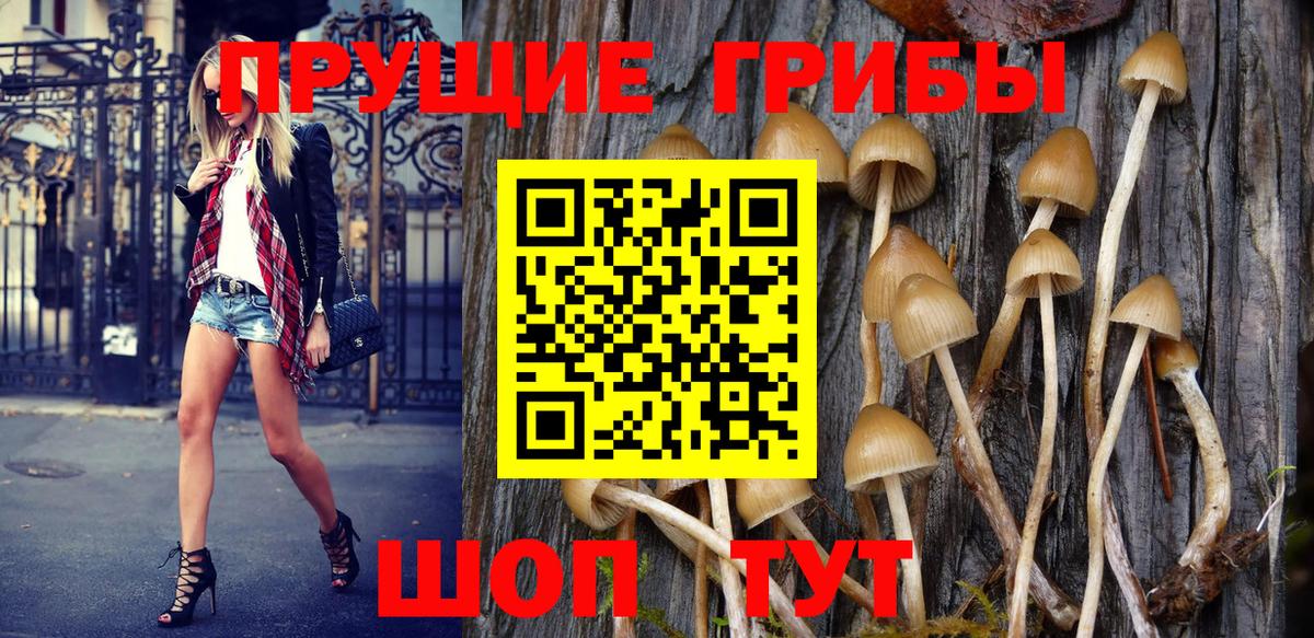 Крымск  Псилоцибиновые грибы Magic Shrooms  Вход с VPN 